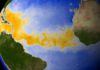 Global temperature likely to rise above 1.5°C; quick action needed to contain it: UNEP Climate Vulnerability Assessment