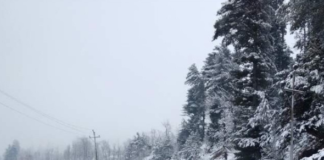 Gulmarg, Sonamarg Likely to Receive Fresh Snowfall from March 15
