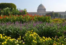 Mughal Gardens open from tomorrow