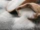 India to permit duty-free imports of raw sugar Sugar Consumption