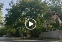 WATCH | A locality in Delhi during Janta Curfew today