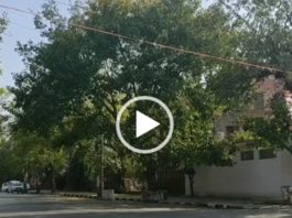 WATCH | A locality in Delhi during Janta Curfew today