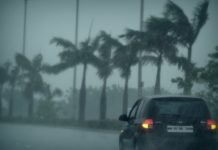 Monsoon in Maha around Jun 11: IMD