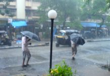 Rain, Snowfall Forecast in Kashmir Till Mar 12, Strong Winds May Affect Blossoms