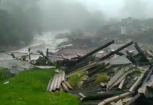 Kerala: 9 dead in landslide near Munnar