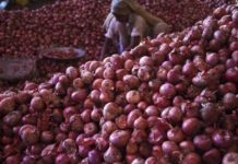 Sugar prices rise, government monitoring situation onion