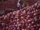 Onion prices rise, government monitoring situation onion