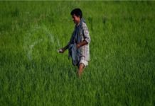 IFFCO reduces NP fertilisers price