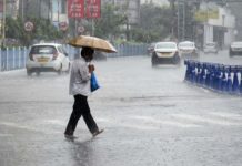 Dry Weather to Favour Spraying in Kashmir; Rain Likely from April 3: MeT Rainfall