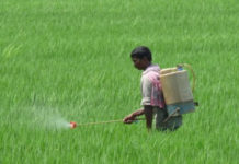 IPFT develops bio-pesticide formulation