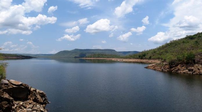 NTPC signs MoU with IIFM, Bhopal for Narmada Landscape Restoration Project