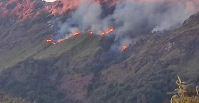 IAF choppers carry out 'Bambi Bucket' op to battle wildfire in Nagaland's Dzukou valley