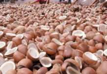 Cabinet approves hike in MSP for copra copra