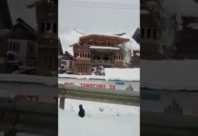 ON CAMERA | House collapses in Kashmir due to heavy snowfall