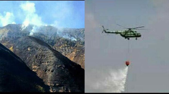 IAF resumes operations to douse wildfire in Nagaland's Dzukou valley