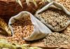 Govt Lifts Export Ban on Wheat Flour, related products with immediate effect foodgrain