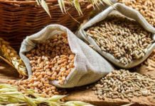 Govt Lifts Export Ban on Wheat Flour, related products with immediate effect foodgrain