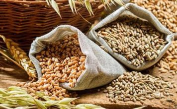Govt Lifts Export Ban on Wheat Flour, related products with immediate effect foodgrain