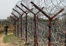 Pakistani national apprehended while crossing IB in Jammu: BSF Samba