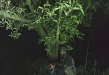 Search Operation Escalates After Terrorists Fire on Troops : Army