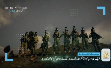 TTP carries out 33 attacks on Pakistani military, killing and injuring scores of soldiers