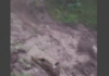 Nepal Floods: 177 dead, 178 Indians and hundreds of others missing