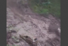 Nepal Floods: 177 dead, 178 Indians and hundreds of others missing