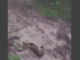 Nepal Floods death toll rises to 734, Indian Army team lands for help