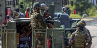 Arms, Ammunition Recovered in Joint Search Operation in Bandipora Forest