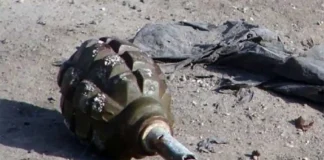 Old grenade recovered, destroyed in Ganderbal