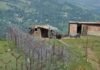 PoK woman repatriated through Chakkan Da Bagh crossing in J&K’s Poonch