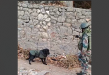 Rusted Mortar Shell Found at Residential Site in Jammu’s Bishnah