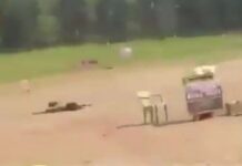 Pahalgam terror attack: Indian investigators get Pakistani links; Prepare dossier