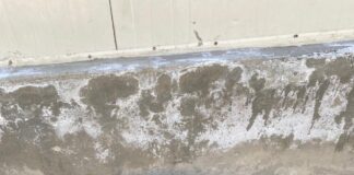 Injured during Kishtwar encounter, dog Tyson is recovering well