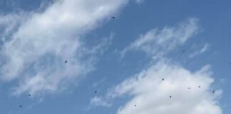 Large scale war breaks out in Middle East after US, Israel attack Iran