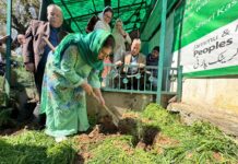 Srinagar: Mehbooba Mufti Leads PDP’s Green Initiative at Party Headquarters