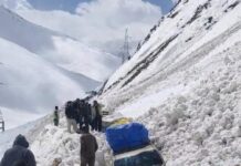 Snow Avalanche Blocks Srinagar–Leh Highway Near Zojila, Rescue Ops On