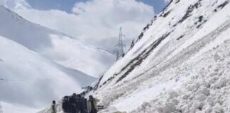 7 Dead, 5 Injured as Avalanche Hits Vehicle at Zojila Pass