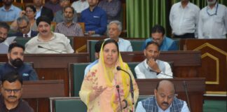 Ambulance allocation based on priority, demand: Sakeena Itoo