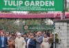 Omar Abdullah Inaugurates Tulip Garden, Welcomes Spring in Kashmir