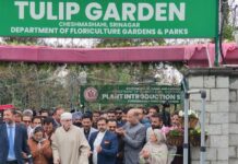 Omar Abdullah Inaugurates Tulip Garden, Welcomes Spring in Kashmir