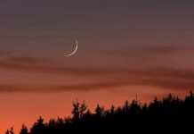 Supreme Court Holiday for Eid-ul-Fitr Subject to Moon Sighting; Registry to Remain Open on March 21