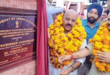 Deputy CM Surinder Choudhary Inaugurates Key Bridge in Jammu, Calls It ‘Lifeline’ for Connectivity