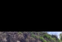 Seized Arms, Ammunition Destroyed in Jammu’s Arnia Area