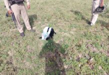 Pak Balloon Marked “PIA” Found in Samba, Probe Underway