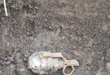 Old Grenade Found in Sopore Orchard, Bomb Squad Deployed