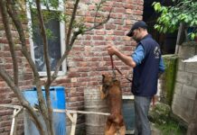 CASOs Conducted at 20 Locations in J&K’s Anantnag in Anti-Drug Crackdown