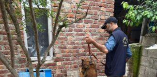 Anti-drug drive intensified in J&K, Operations conducted at 20 places