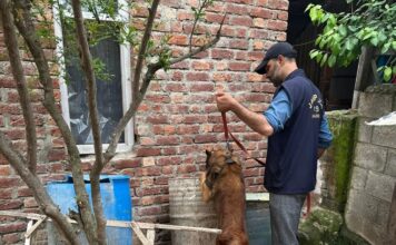 Anti-drug drive intensified in J&K, Operations conducted at 20 places