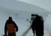 30 Vehicles Rescued at Razdhan Pass After Snowfall Disrupts Traffic in J&K’s Bandipora